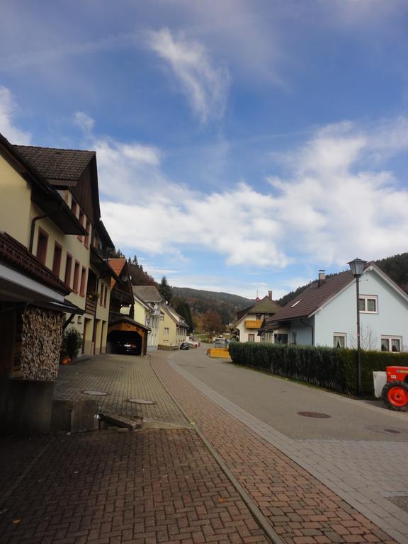Apartement 12 In Kupferkanne Todtmoos Oda fotoğraf